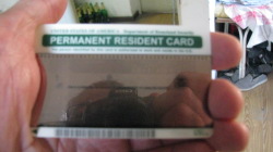 green card verso